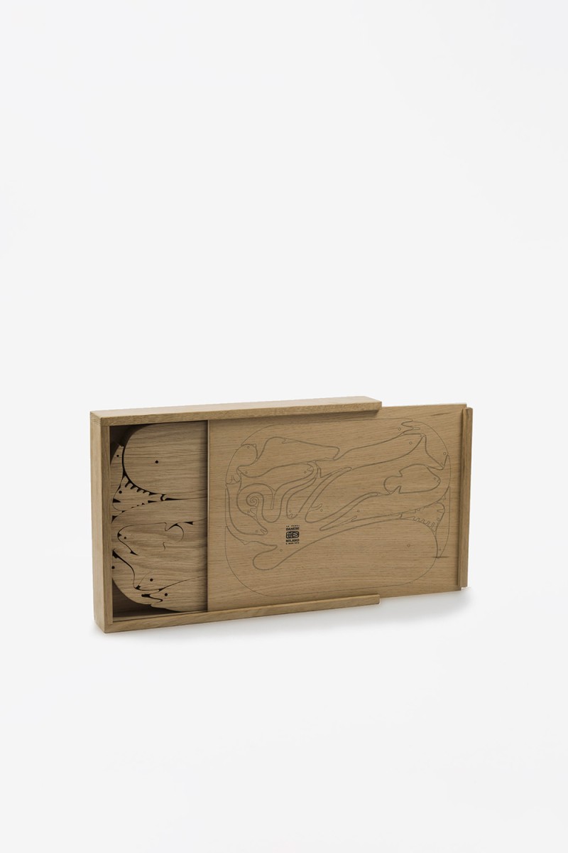 wooden-puzzle-with-marine-animals-in-box