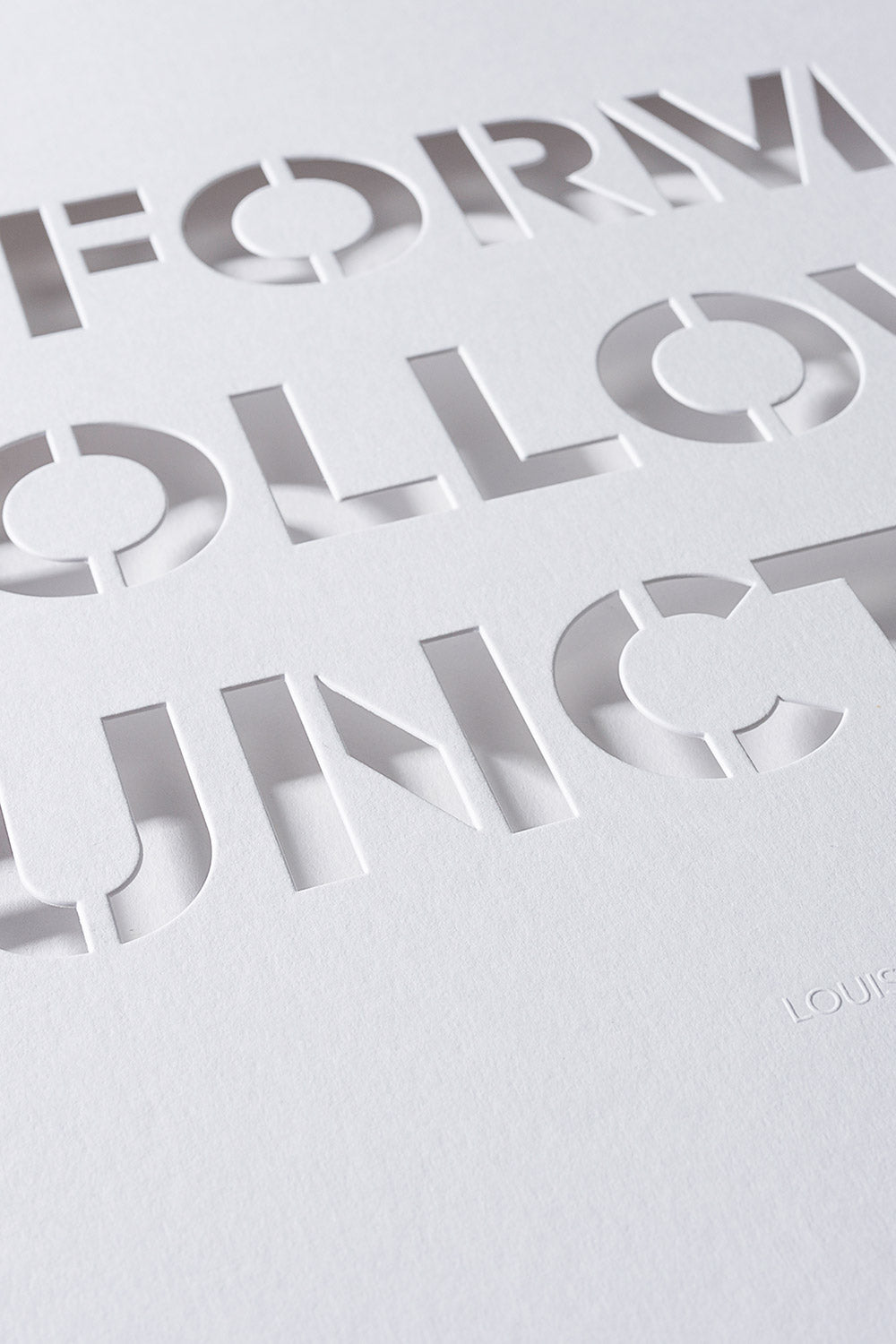 Form follows function white poster