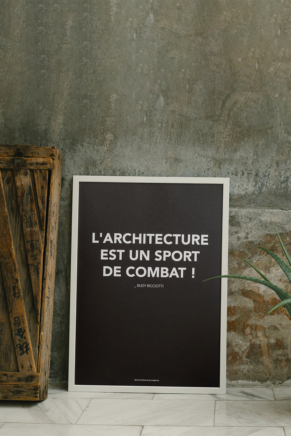 Architecture is a combat sport - poster